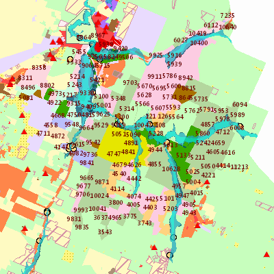 Export Image