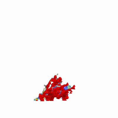Export Image